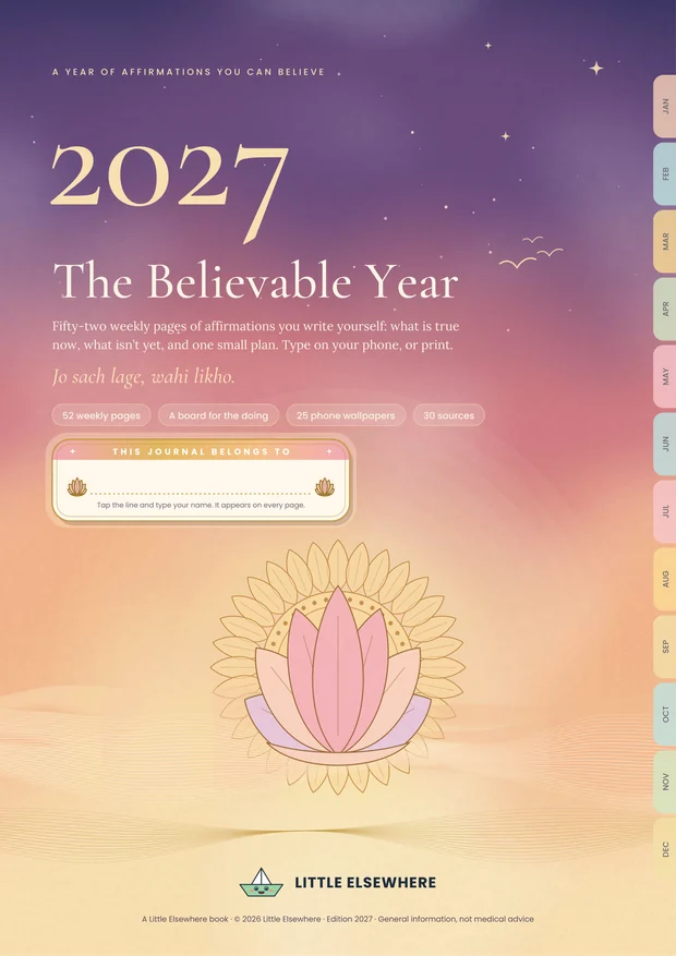 The Believable Year 2027: The cover